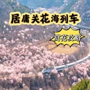 北京旅游 缩略图 1