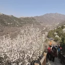 北京旅游 缩略图 9