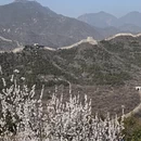 北京旅游 缩略图 10