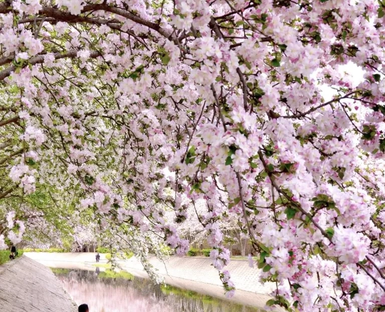 北京旅游 1
