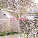 北京旅游 缩略图 4
