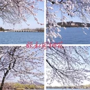 北京旅游 缩略图 2