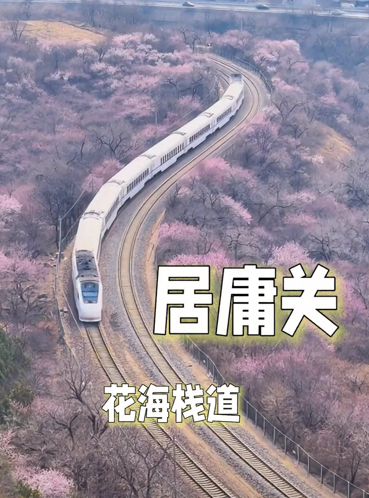 北京旅游