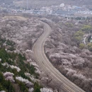 北京旅游 缩略图 5