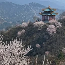 北京旅游 缩略图 7