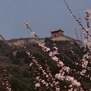 北京旅游 缩略图 3
