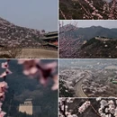 北京旅游 缩略图 1
