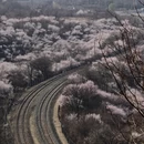 北京旅游 缩略图 8