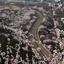北京旅游 缩略图 10