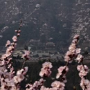 北京旅游 缩略图 11