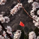 北京旅游 缩略图 7