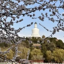 北京旅游 缩略图 1