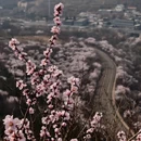 北京旅游 缩略图 18