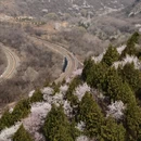 北京旅游 缩略图 19