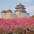北京旅游 缩略图 7