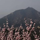 北京旅游 缩略图 14