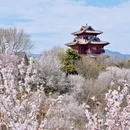 北京旅游 缩略图 3