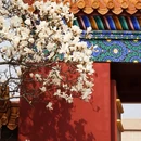 北京旅游 缩略图 11