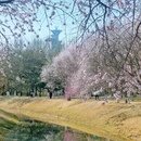 北京旅游 缩略图 6