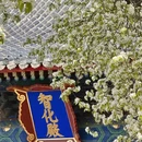 北京旅游 缩略图 8