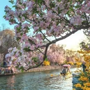 北京旅游 缩略图 12