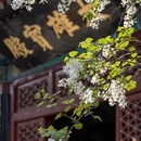 北京旅游 缩略图 14