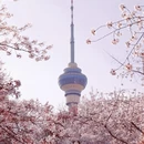 北京旅游 缩略图 9
