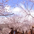 北京旅游 缩略图 4
