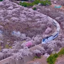 北京旅游 缩略图 6