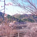 北京旅游 缩略图 5