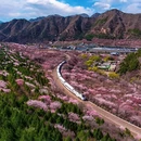 北京旅游 缩略图 2