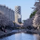 北京旅游 缩略图 10