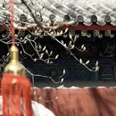 北京旅游 缩略图 2