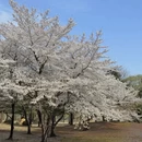 北京旅游 缩略图 14