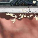 北京旅游 缩略图 1