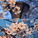 北京旅游 缩略图 1