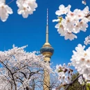 北京旅游 缩略图 2