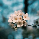 北京旅游 缩略图 4