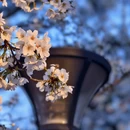 北京旅游 缩略图 6