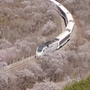 北京旅游 缩略图 1