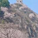 北京旅游 缩略图 4