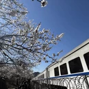 北京旅游 缩略图 3