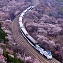 北京旅游 缩略图 1