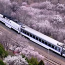 北京旅游 缩略图 3