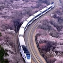 北京旅游 缩略图 6