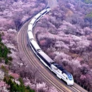 北京旅游 缩略图 5