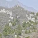 北京旅游 缩略图 6