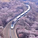 北京旅游 缩略图 12