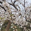 北京旅游 缩略图 4