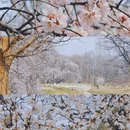 北京旅游 缩略图 1
